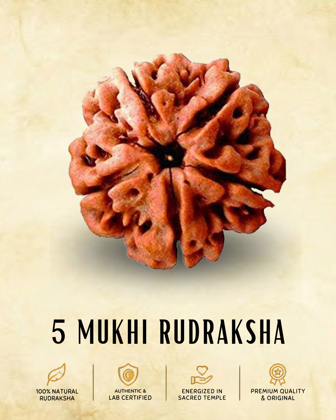 5 mukhi Nepali Rudraksha | ENERGIZED AT BHAIRAV TEMPLE IN KASHI (BUY1 GET1 FREE)