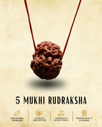 5 mukhi Nepali Rudraksha | ENERGIZED AT BHAIRAV TEMPLE IN KASHI (BUY1 GET1 FREE)