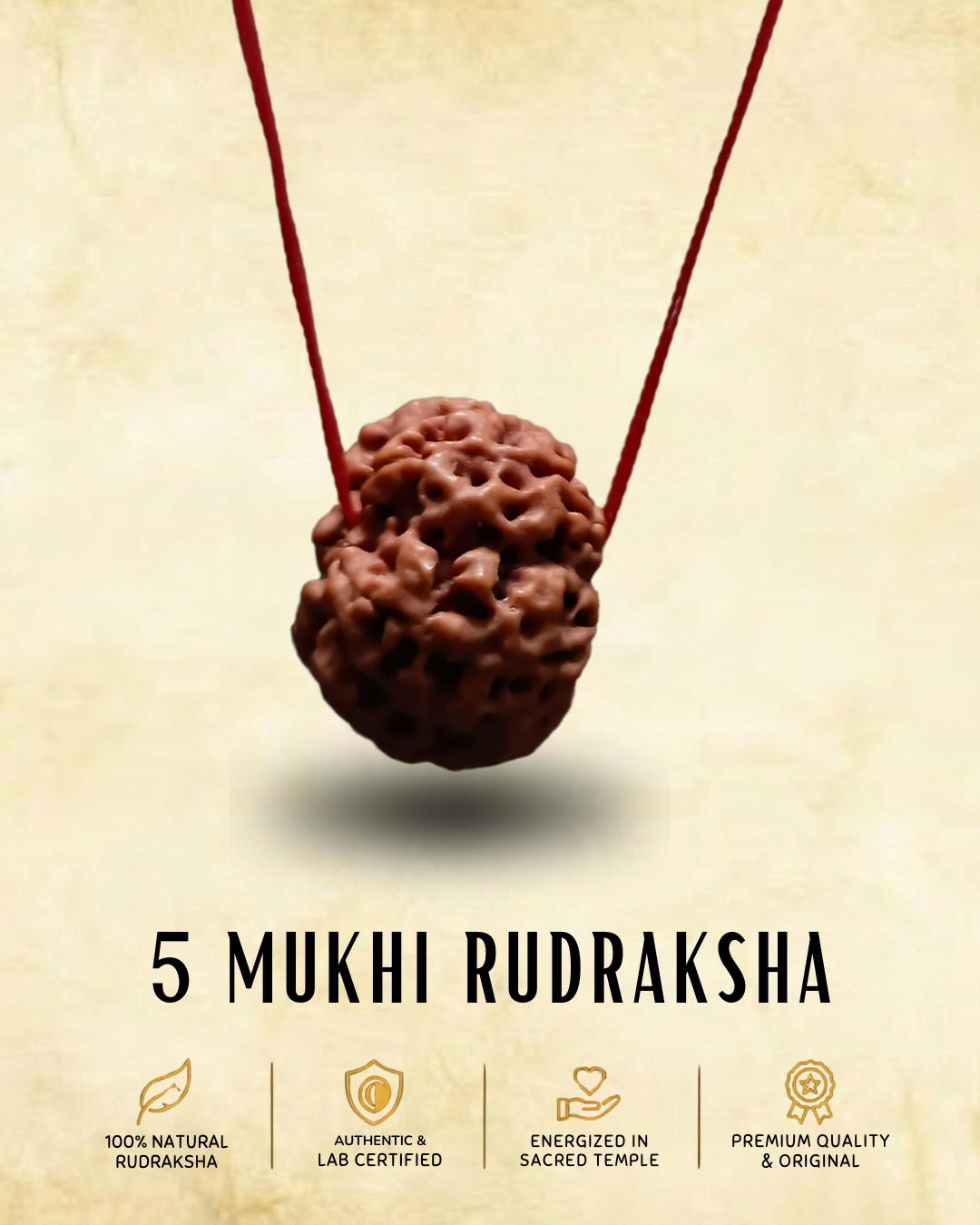 5 mukhi Nepali Rudraksha | ENERGIZED AT BHAIRAV TEMPLE IN KASHI (BUY1 GET1 FREE)