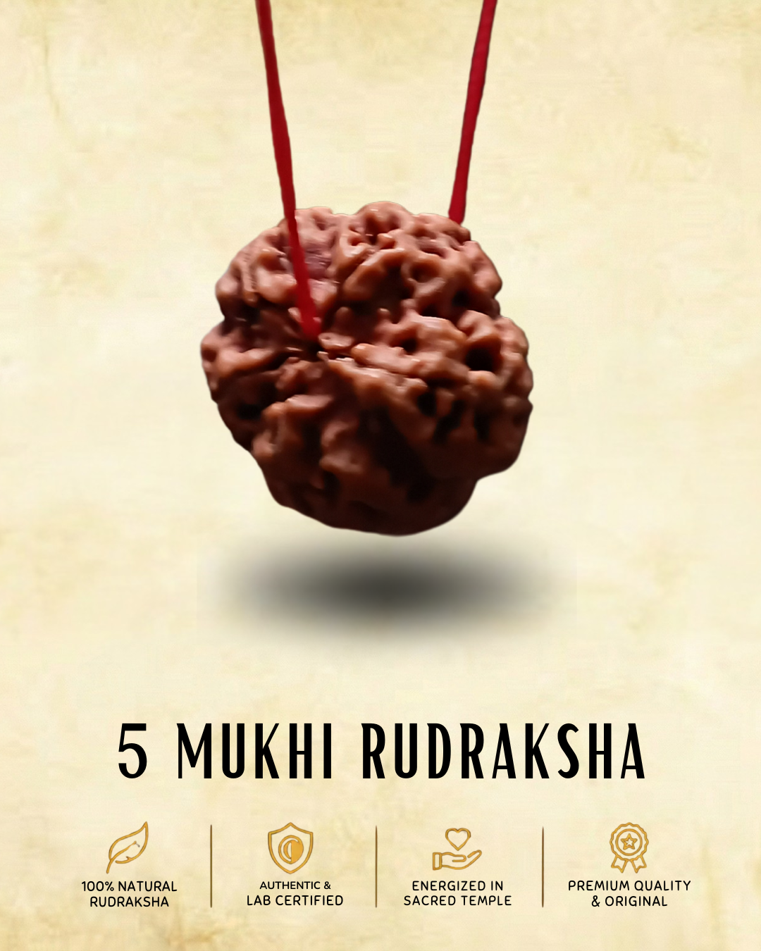 5 mukhi Nepali Rudraksha | ENERGIZED AT BHAIRAV TEMPLE IN KASHI (BUY1 GET1 FREE)