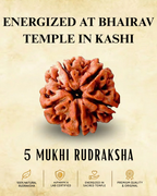 5 mukhi Nepali Rudraksha | ENERGIZED AT BHAIRAV TEMPLE IN KASHI (BUY1 GET1 FREE)