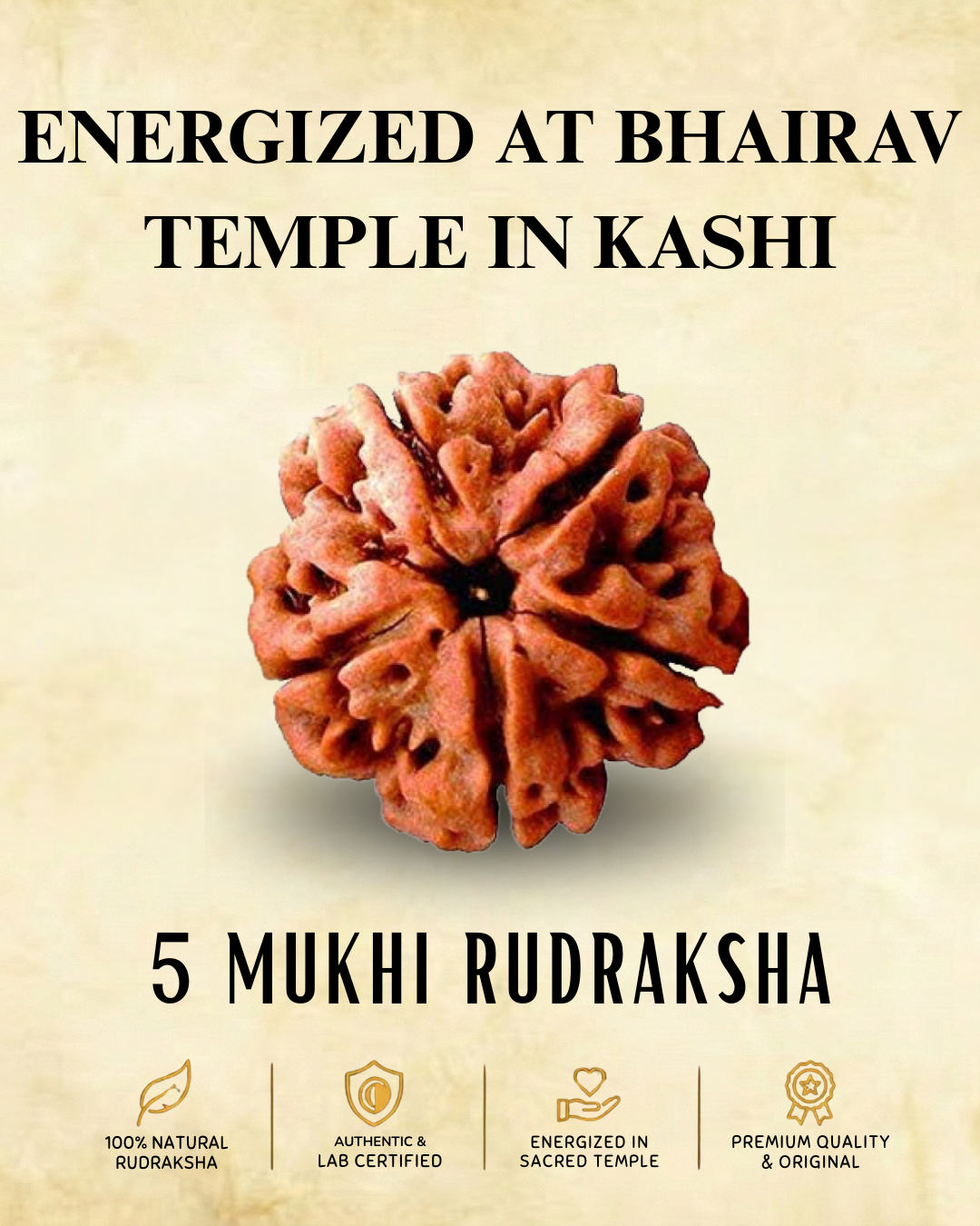 5 mukhi Nepali Rudraksha | ENERGIZED AT BHAIRAV TEMPLE IN KASHI (BUY1 GET1 FREE)