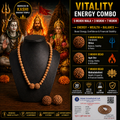 Vitality Energy Combo – 5 Mukhi Mala + 3 Mukhi + 7 Mukhi | Energized in Kashi