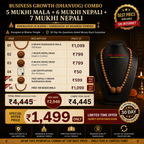 Business Growth (Dhanyog) Combo – 5 Mukhi Mala + 6 Mukhi Nepali + 7 Mukhi Nepali | Energized in Kashi