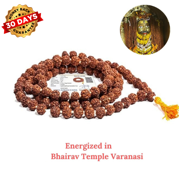 Siddha 5 Mukhi Rudraksha Mala ( Energized at Bhairav Temple, Kashi ) -Lab Certified