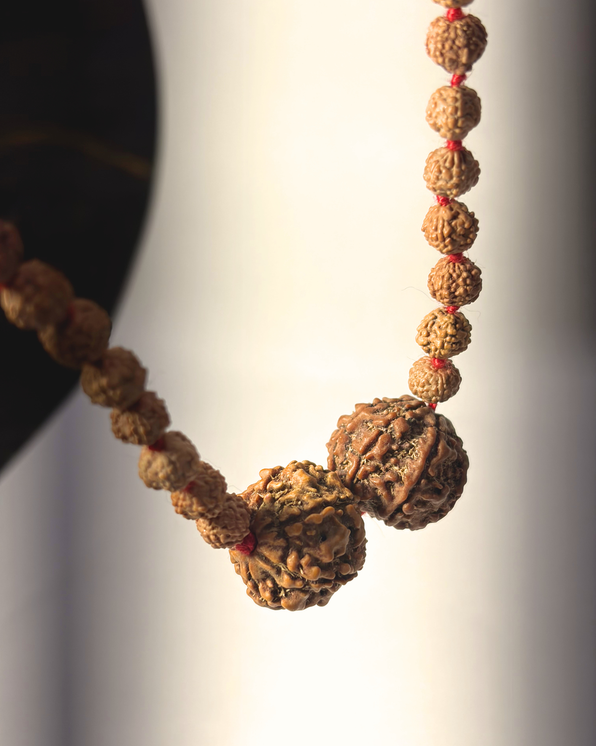 Siddha Business Growth (Dhanyog) Combo – 5 Mukhi Mala + 6 Mukhi Nepali + 7 Mukhi Nepali | Energized in Kashi